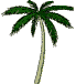 swaying palm tree